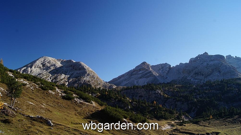 wbgarden alps 118.JPG